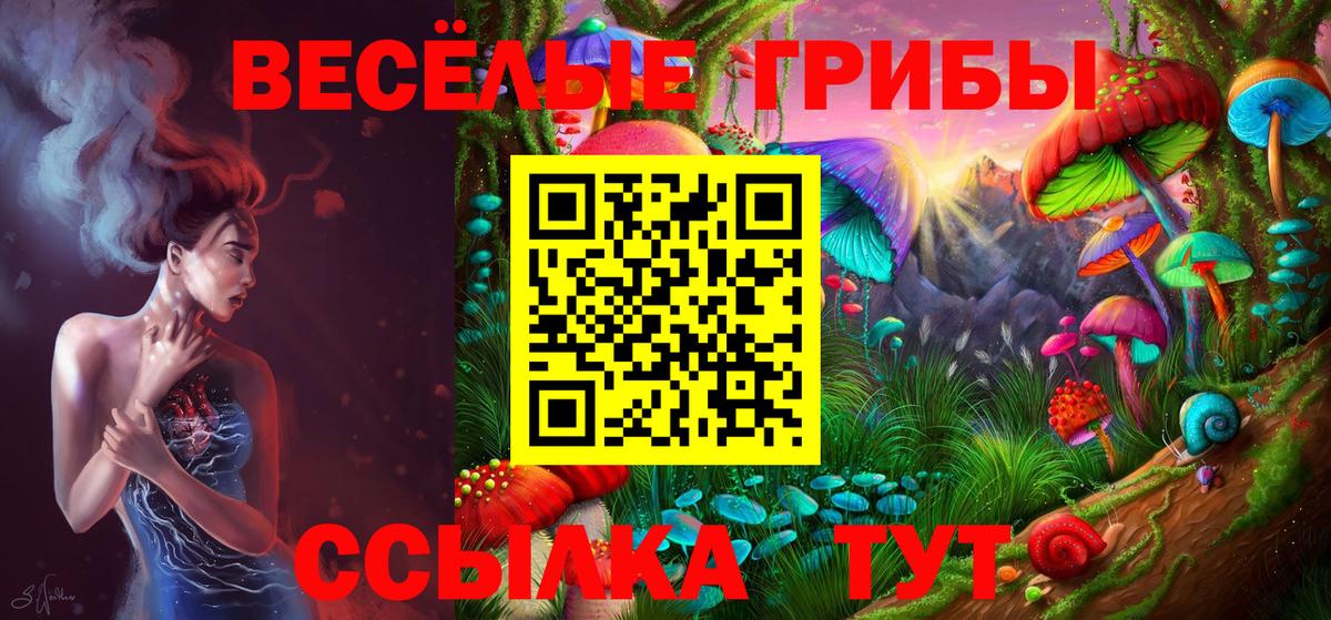 Псилоцибиновые грибы прущие грибы  Вход с VPN  Кызыл 